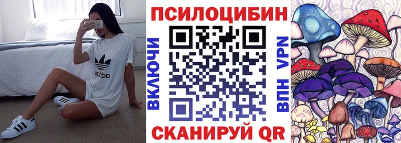 Галлюциногенные грибы Psilocybine cubensis  Таштагол 